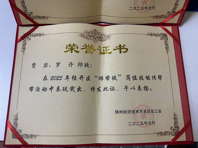 賈巖、羅丹師徒榮獲經(jīng)開(kāi)區“師帶徒”崗位技能傳幫帶活動(dòng)表彰